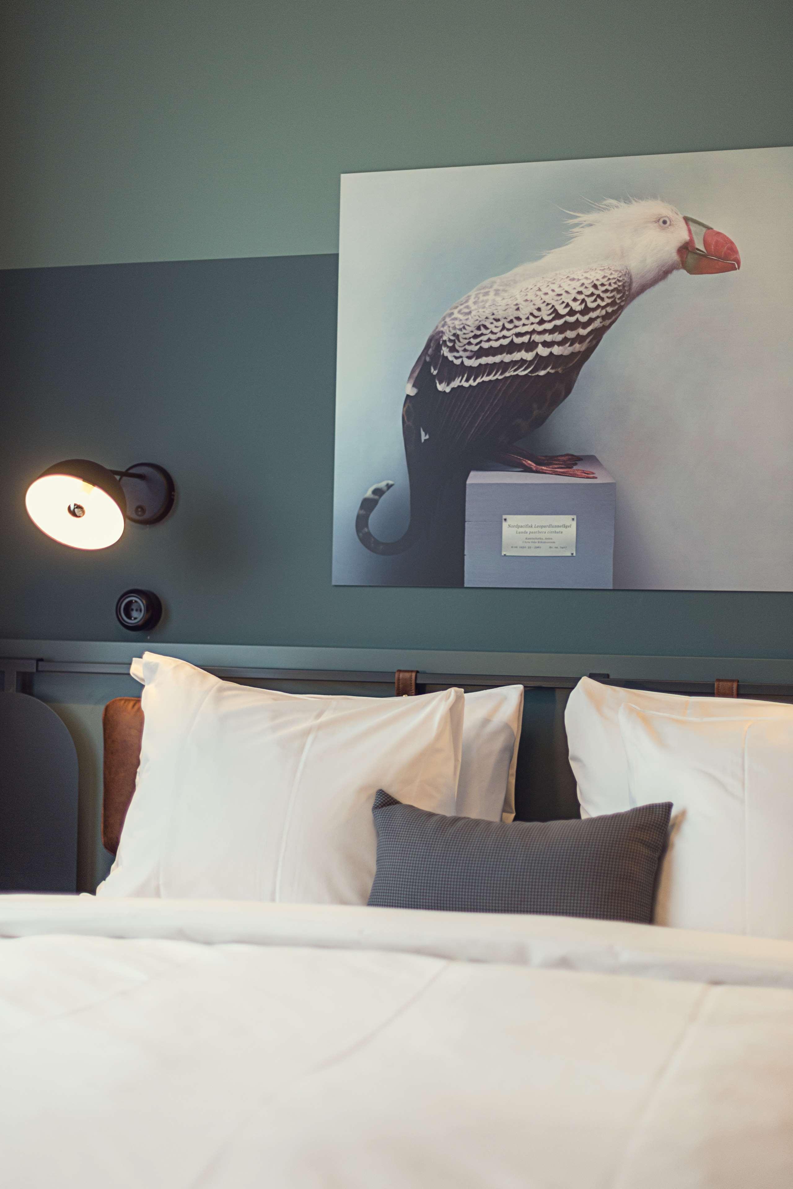 Best Western Plus Fort Worth Forest Hill Inn & Suites Zewnętrze zdjęcie