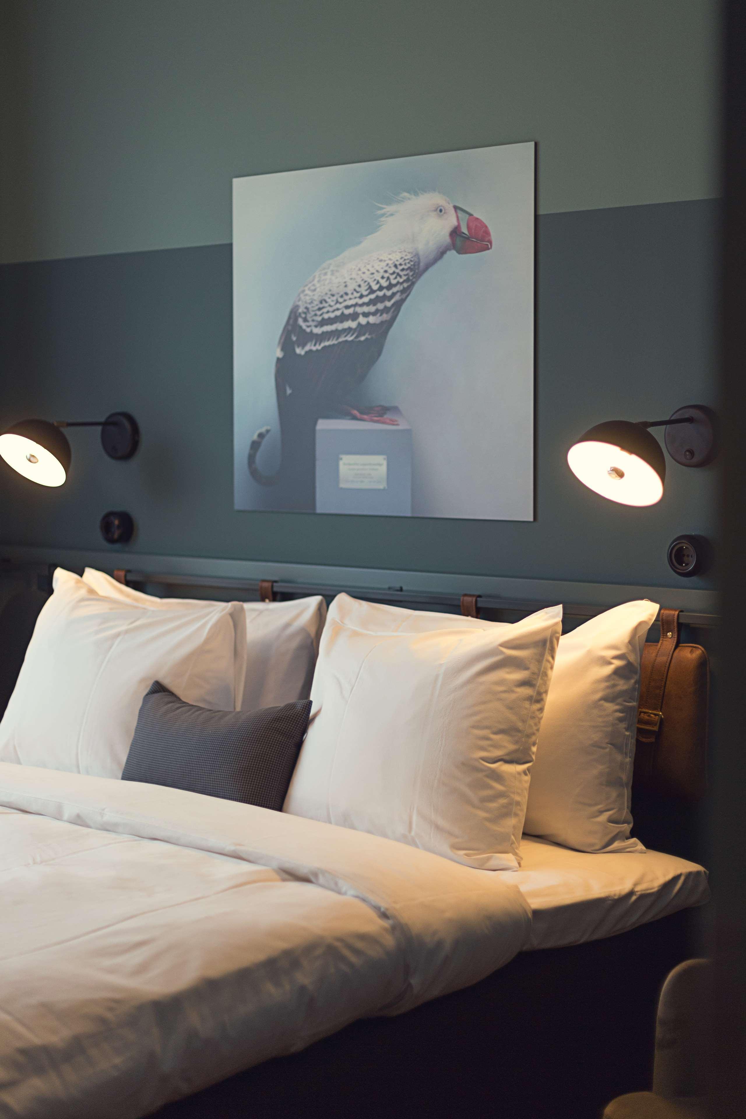 Best Western Plus Fort Worth Forest Hill Inn & Suites Zewnętrze zdjęcie