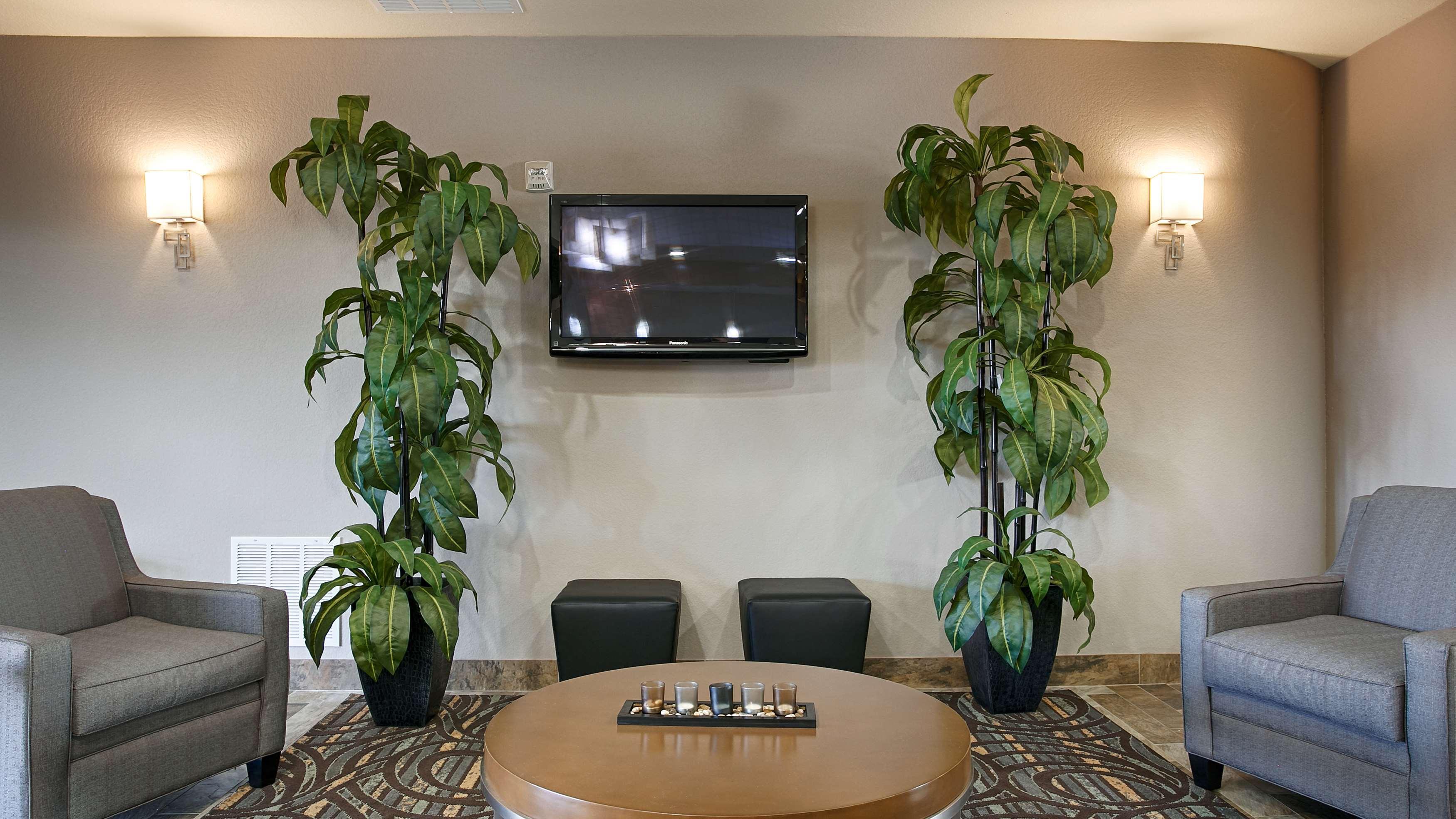 Best Western Plus Fort Worth Forest Hill Inn & Suites Zewnętrze zdjęcie